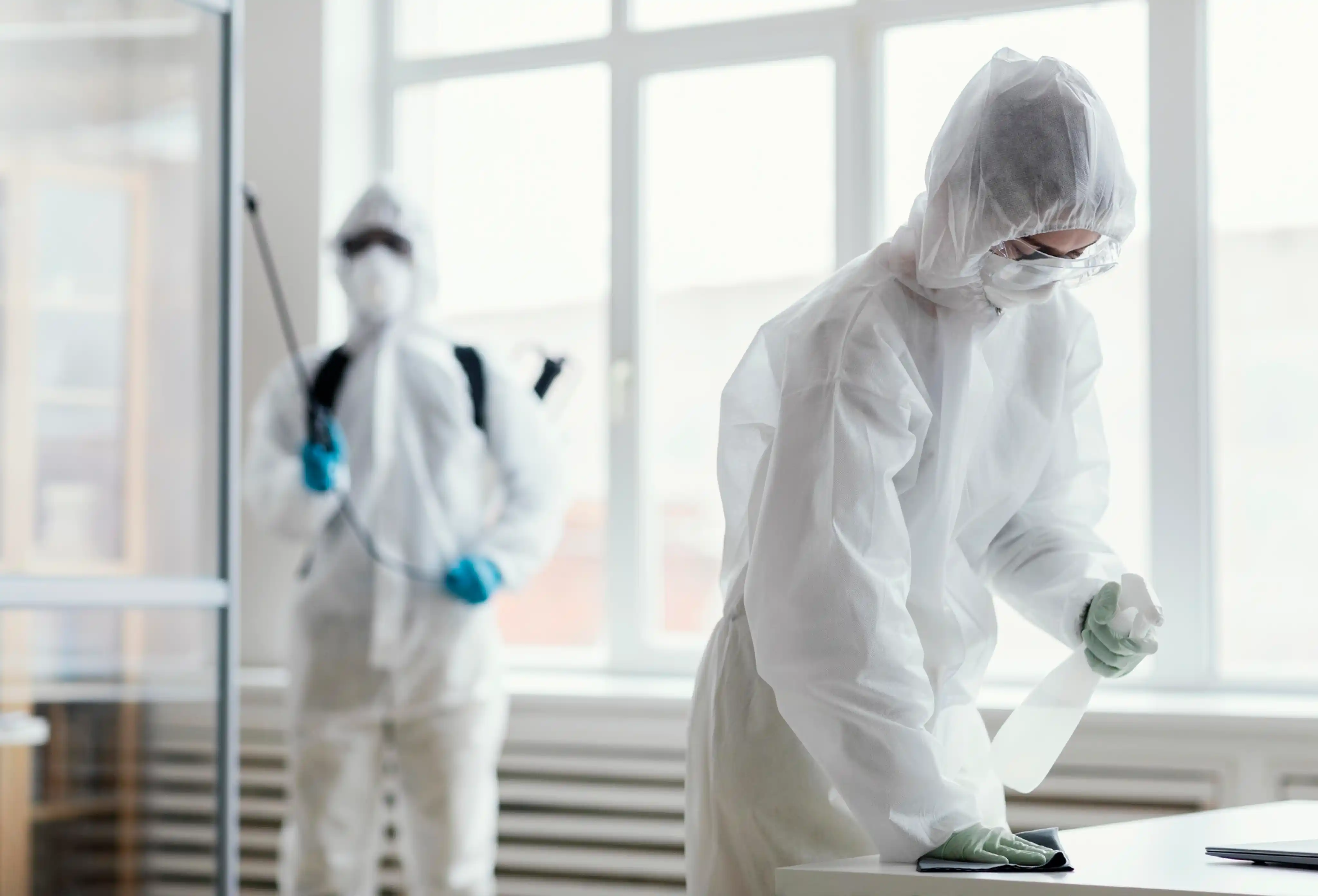 Pestmaster banner